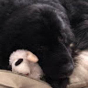 Meet your Posher, Danni